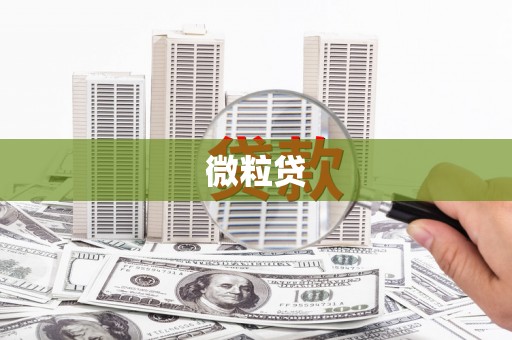 泰宁微粒贷