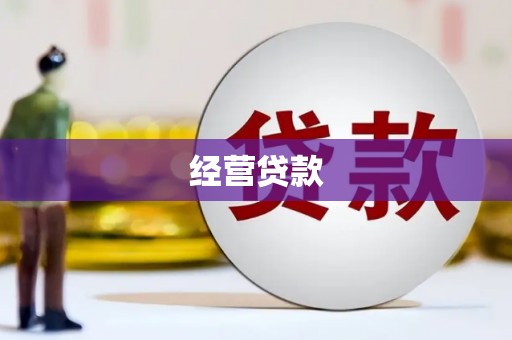 泰宁经营贷款